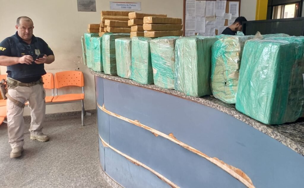 apreensão de maconha na Dutra