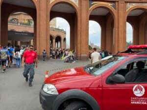 enxame de abelhas Aparecida